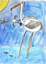 Krokusová Michaela (2).jpg